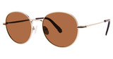 Modz Sunz Eyeglasses BISCAYNE Gold/Brown