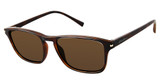Eddie Bauer Eyeglasses EB 39436P Brown/BR