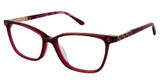 Ann Taylor Eyeglasses AT351CP TRANS MULBERRY/C03