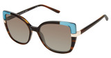 Ann Taylor Eyeglasses ATP928 BROWN HORN/C02