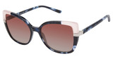 Ann Taylor Eyeglasses ATP928 NAVY TORTOISE/C3