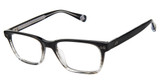 Ted Baker Eyeglasses TLM006 black/BLK