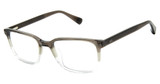 Ted Baker Eyeglasses TLM005 grey/GRY