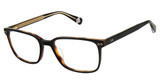 Ted Baker Eyeglasses TLM005 black/BLK