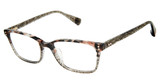 Ted Baker Eyeglasses TLW009 grey/GRY