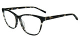 Jones New York VJONK13 Black Havana 809Y