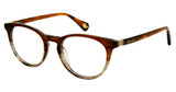 ROBERT GRAHAM Eyeglasses CASSIAN Brown/BRN