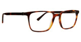 Argyleculture Eyeglasses Farro TORTOISE/TOR