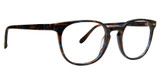 Badgley Mischka Eyeglasses Evan BROWN/COBALT/BRC