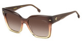 Carrera CARRERA 3037/S BRW CARML/00MY Carrera CARRERA 3037/S BRW CARML/00MY