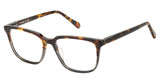 Fossil Eyeglasses FOS 7173 HAVGREY HA/0AB8