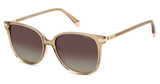 Polaroid Eyeglasses PLD 4170/G/S/X GOLD/0J5G