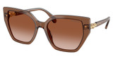 SWAROVSKI Eyeglasses SK6016 TRANSAPRENT BROWN/106713