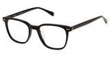 Cruz Eyeglasses Ocala Dr Black/BLACK