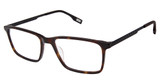 Evatik Eyeglasses EVATIK 9284 TORTOISE BLACK/S412