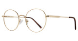 Eye Q Eyewear Eyeglasses SW347 GOLD/GOLD