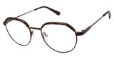 Isaac Mizrahi New York Eyeglasses IM 36009 Tortoise/TT