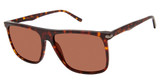 Isaac Mizrahi New York Eyeglasses IM 36200 Tortoise/TT