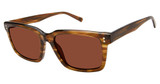 Isaac Mizrahi New York Eyeglasses IM 36202 Brown/BR