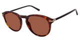 Isaac Mizrahi New York Eyeglasses IM 36205 Tortoise/TT
