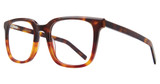 Eye Q Eyewear Eyeglasses ESSEX TORTOISE/TORT