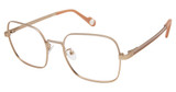 True Religion Eyeglasses T2013 Gold/GLD