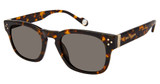 True Religion Eyeglasses T5003 Tortoise/TOR