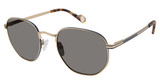 True Religion Eyeglasses T5002 Gold/GLD