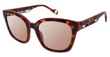 True Religion Eyeglasses T3003 Tortoise/TOR