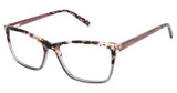 Ted Baker Eyeglasses TFW020 grey/GRY