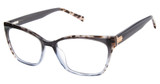 Ted Baker Eyeglasses TW023 slate/SLA