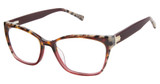 Ted Baker Eyeglasses TW023 burgundy/BUR