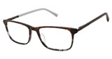 Ted Baker TFM017 tortoise grey/TOR