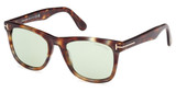 Tom Ford Eyeglasses FT1099 havana/other / green/56N