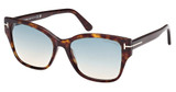 Tom Ford FT1108 dark havana / gradient green/52P