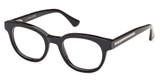 Web Eyeglasses WE5431 black/other/005