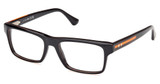 Web Eyeglasses WE5432 black/other/005
