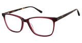 Aristar Eyeglasses AR 18446 Wine/513