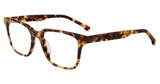 GAP Eyeglasses VGP046 Havana 0HAV