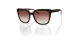 Denon Eyewear Eyeglasses GIANNA 06_AMBER