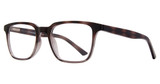 Affordable Designs Eyeglasses Neil Grey Demi