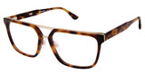 XXL Eyewear Eyeglasses Brahma Tortoise/TORTOISE