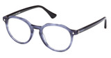Web Eyeglasses WE5427 blue/other/092