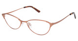 Elizabeth Arden Eyeglasses EA 1272 BROWN/3