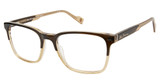 Ben Sherman Eyeglasses MARK BROWN/C02