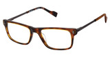 Ben Sherman Eyeglasses BROADWAY TORTOISE/C02