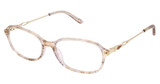 Steel + Tate Eyeglasses SLTA-0001 SAND GOLD/S414