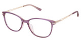 Steel + Tate Eyeglasses SLTA-0006 PURPLE GOLD/S407
