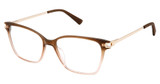 Steel + Tate Eyeglasses SLTA-0009 BROWN GRADIENT GOLD/S402