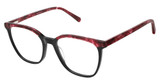 Steel + Tate Eyeglasses SLTA-0011 BLACK CHERRY/S400